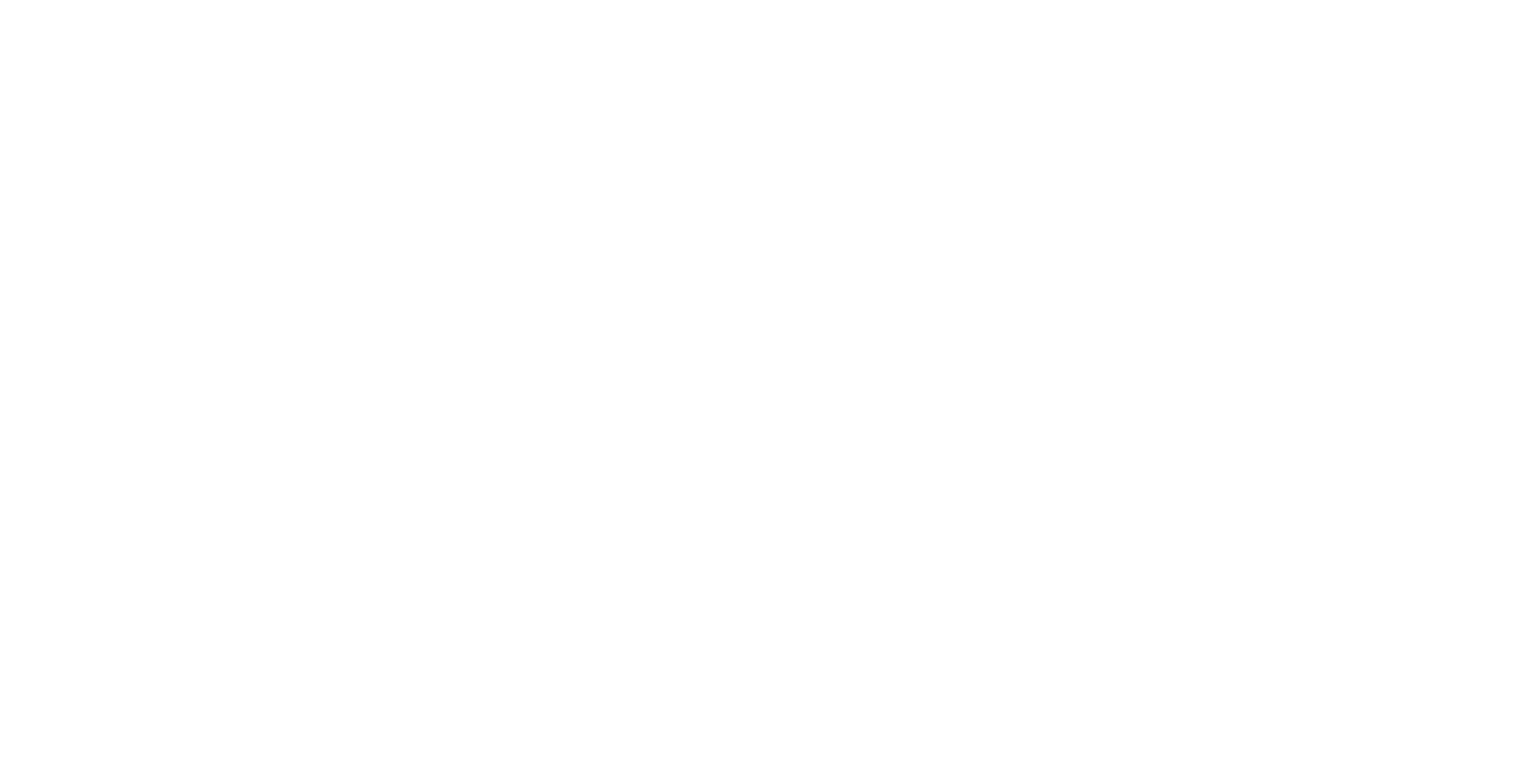 Nock - Steinreinigung